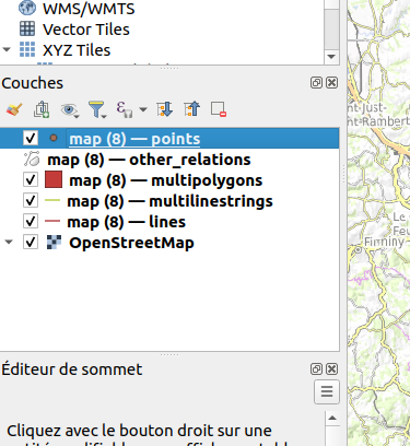 Vue couche de QGIS